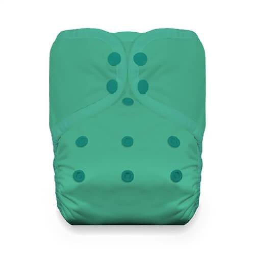 Thirsties - Natural One Size Pocket Nappy - Seafoam